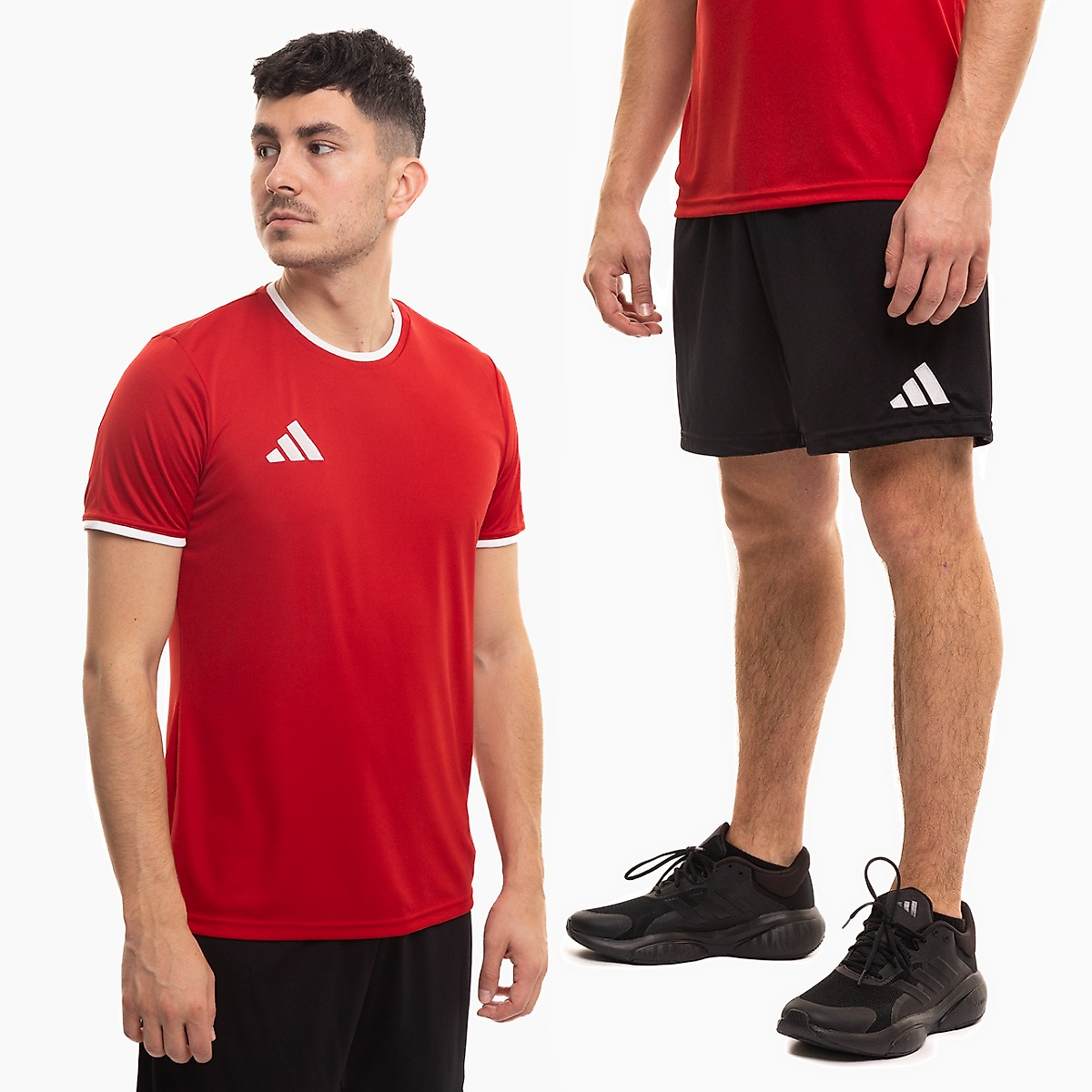 adidas heren sportset shirt shorts Entrada 26 JZ2501/JZ2521