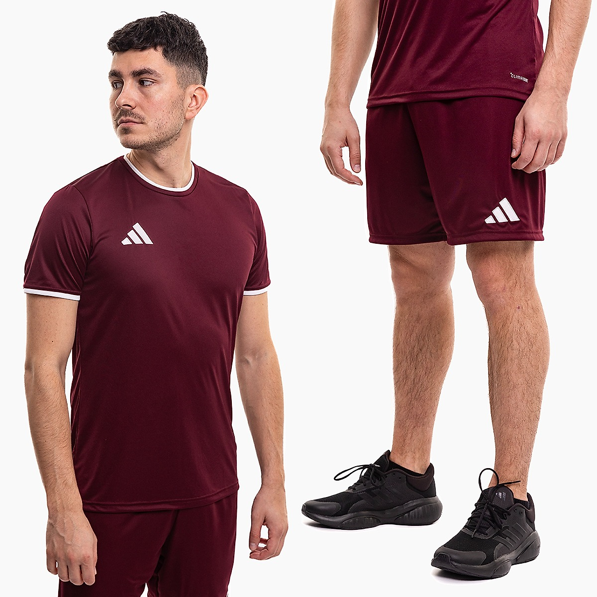 adidas heren sportset shirt shorts Entrada 26 JZ2507/JZ2514