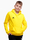 Afbeelding van adidas Bluza dla dzieci Entrada 22 Hoody HI2142 productvariant