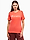 Afbeelding van Champion Koszulka damska SS Tee 117534 PS004 productvariant