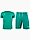 Afbeelding van PUMA męski strój sportowy koszulka spodenki teamLIGA Jersey 704917 05/704924 05 productvariant