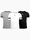Afbeelding van PUMA Zestaw koszulek dziecięcych teamRISE Jersey Jr 704938 04/13/03 productvariant